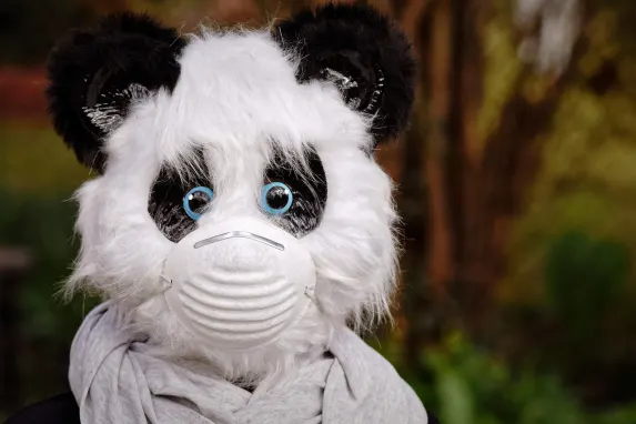 TopBet Casino Soporte